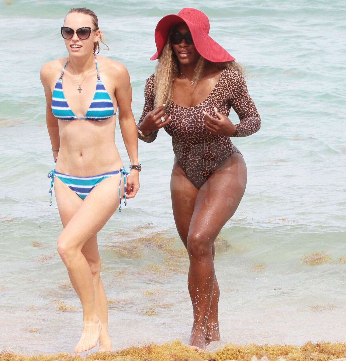 FOTO Prietene la plajă » Serena Williams şi Caroline Wozniacki s-au relaxat la Miami, după eliminarea de la Roland Garros