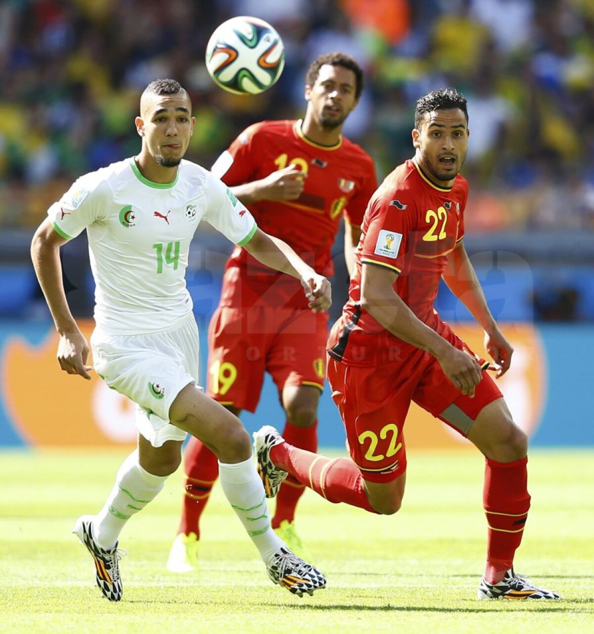 FOTO şi VIDEO Mai bună decît România :) » Belgia a cîştigat chinuit primul meci la Mondial, 2-1 cu Algeria