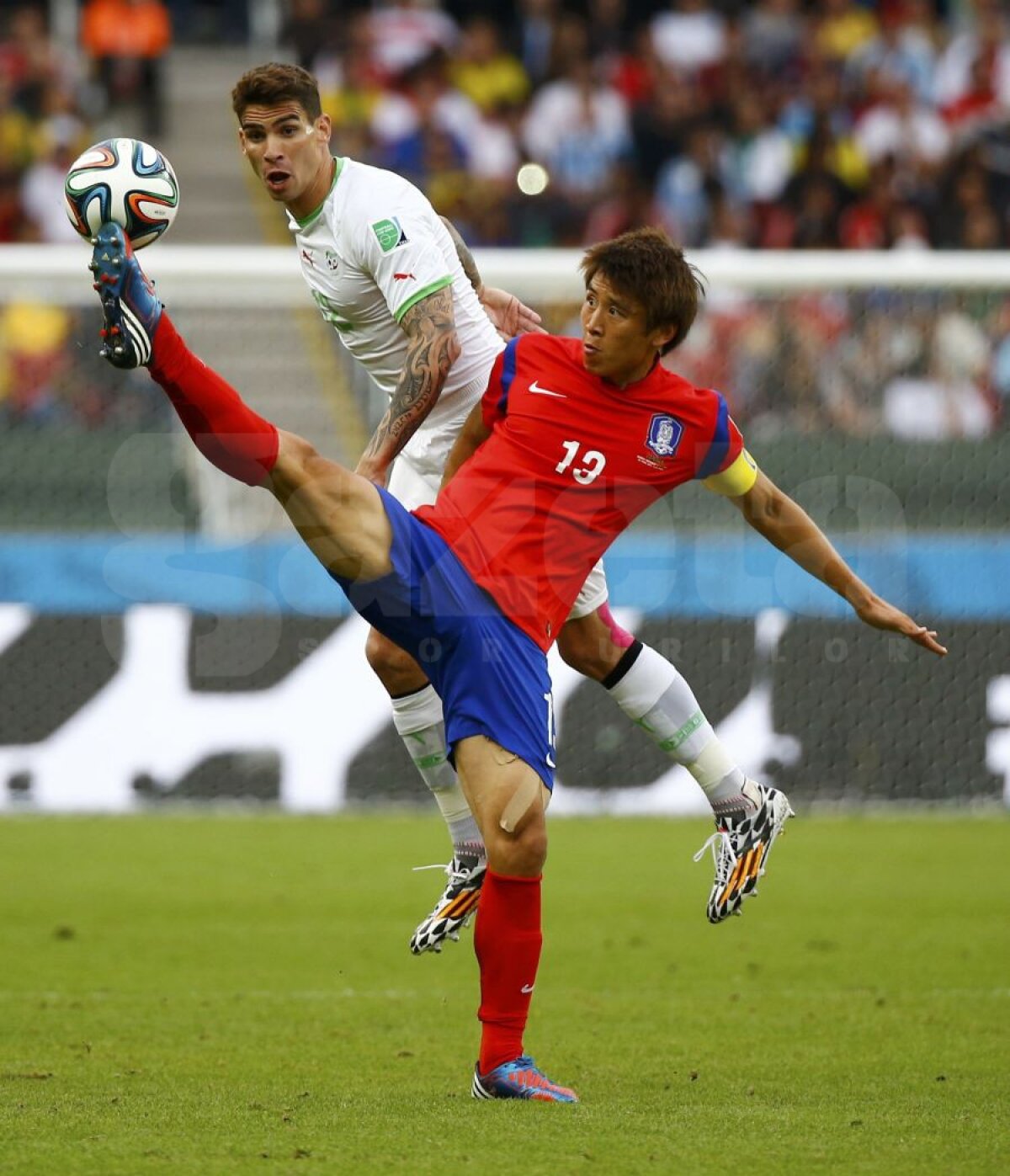 VIDEO şi FOTO Coreea de Sud - Algeria 2-4 » Trupa lui Vahid Halilhodzic are nevoie de un egal cu Rusia pentru calificarea în optimi