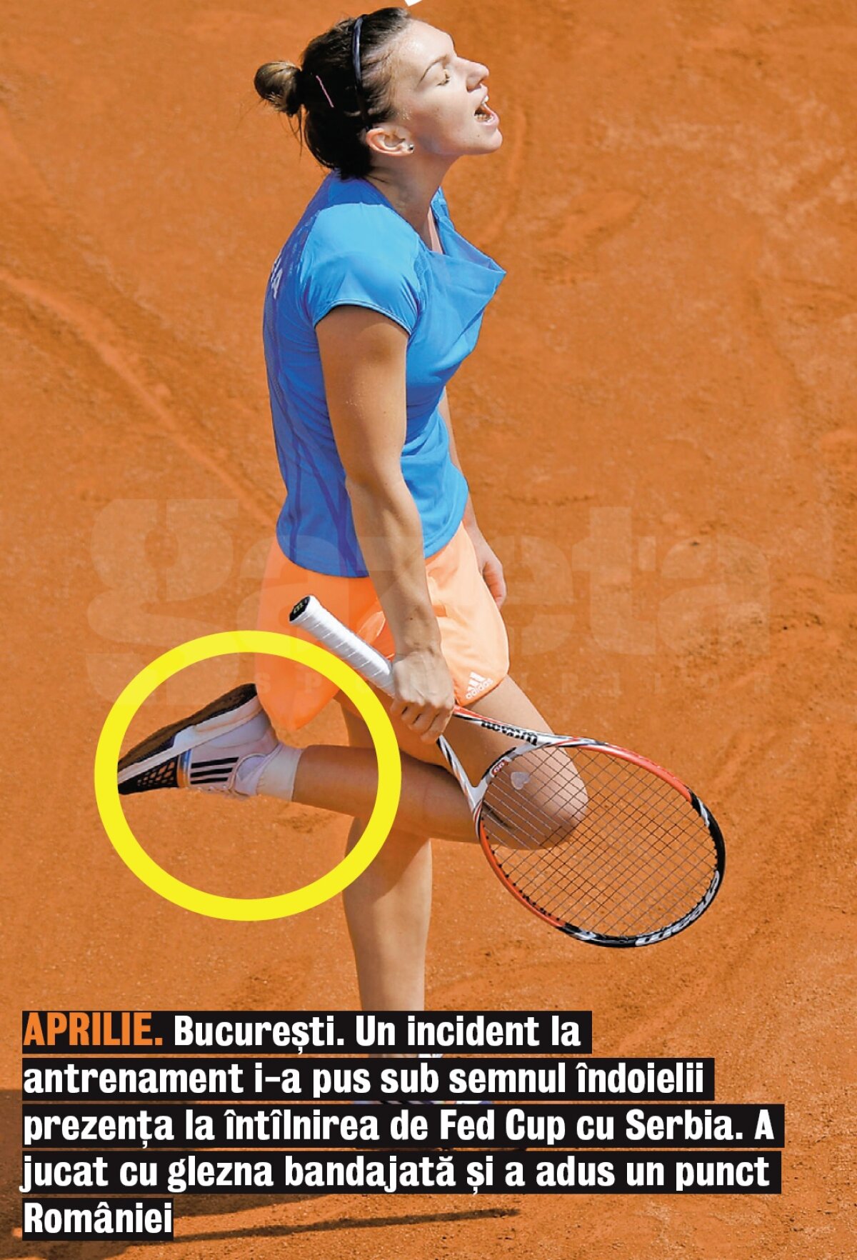 2014, anul constanţei, dar şi al fragilităţii » Simona Halep a evoluat excelent la turneele de Mare Şlem, dar s-a luptat şi cu accidentările