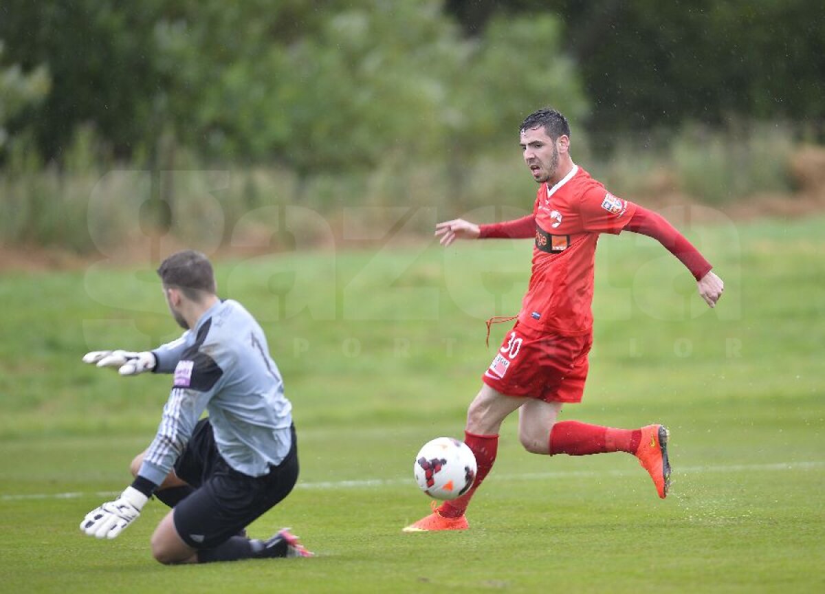 FOTO "Cîinii" s-au jucat cu ocaziile şi cîştigă la limită » Dinamo - Stalybridge Celtic 2-1