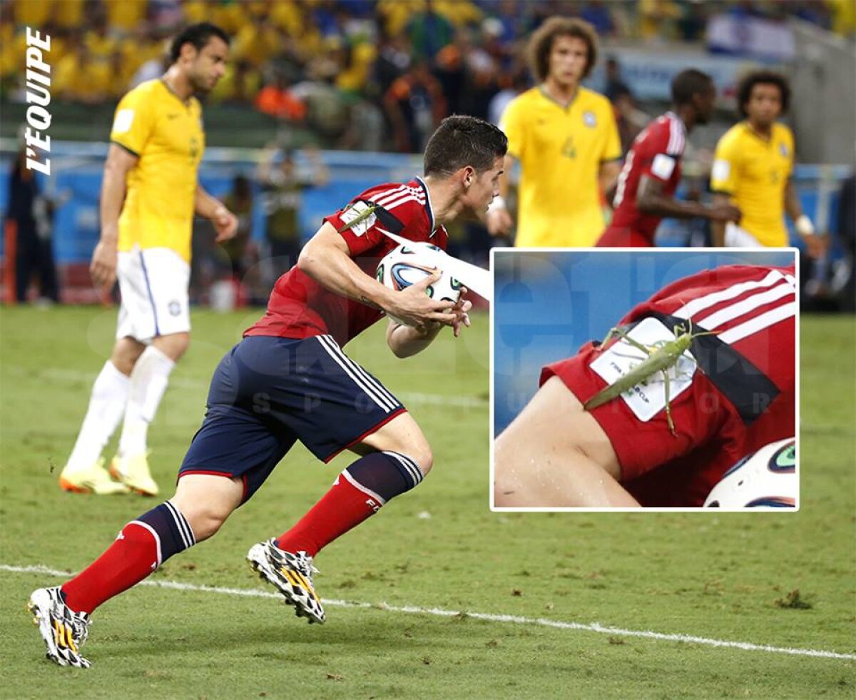 VIDEO+FOTO Imaginea care îţi dă fiori! » O insectă uriaşă s-a aşezat pe braţul lui James Rodriguez! :O