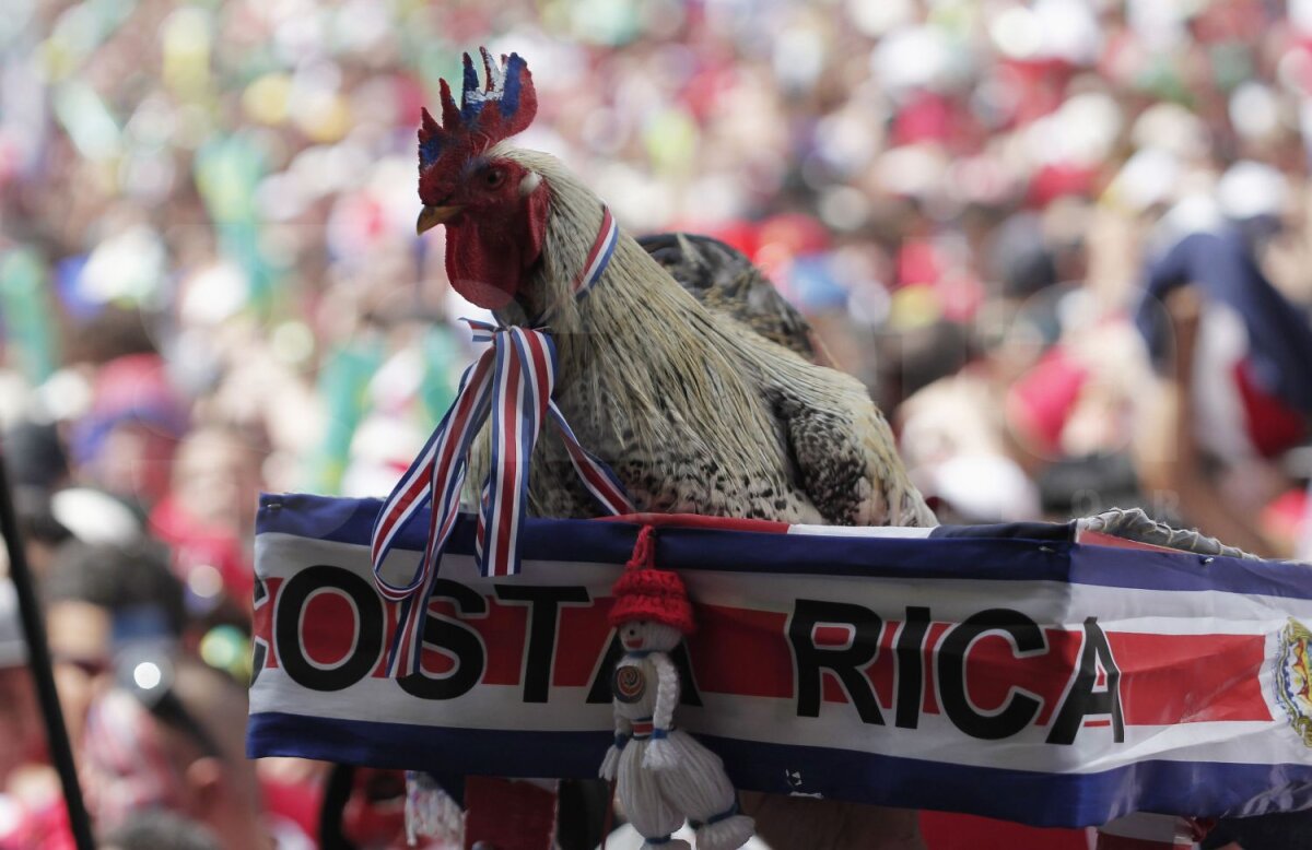 Galerie FOTO Idei de la Mondiale » Cele mai trăznite prezenţe în tribunele din Brazilia