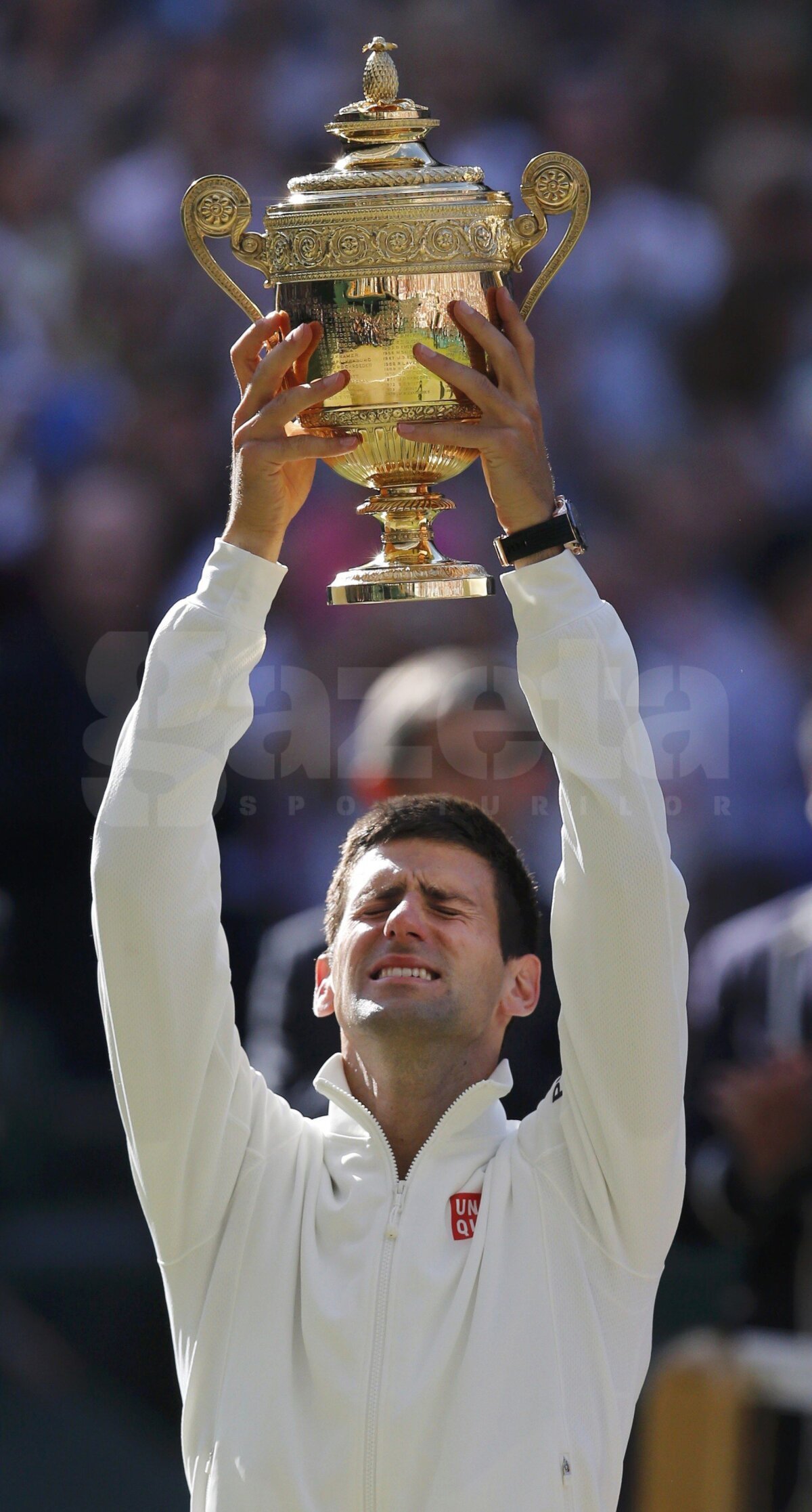 Lacrimi de iarbă » Novak Djokovici a cucerit al doilea titlu la Wimbledon şi redevine lider mondial în ATP