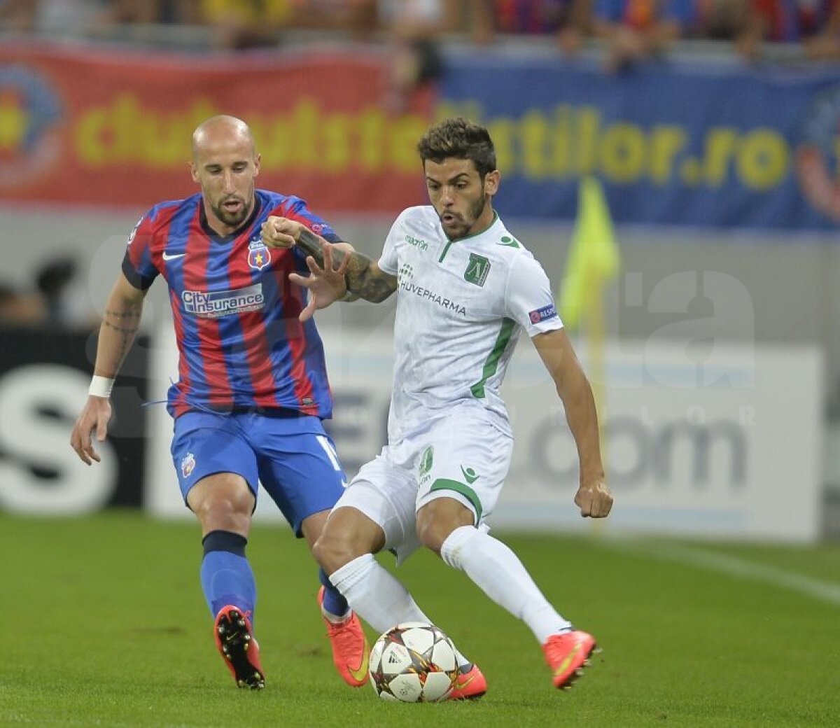 GALERIE FOTO Costel Gâlcă a mizat pe Alexandru Chipciu şi a cîştigat » Steaua - Ludogoreţ 1-0