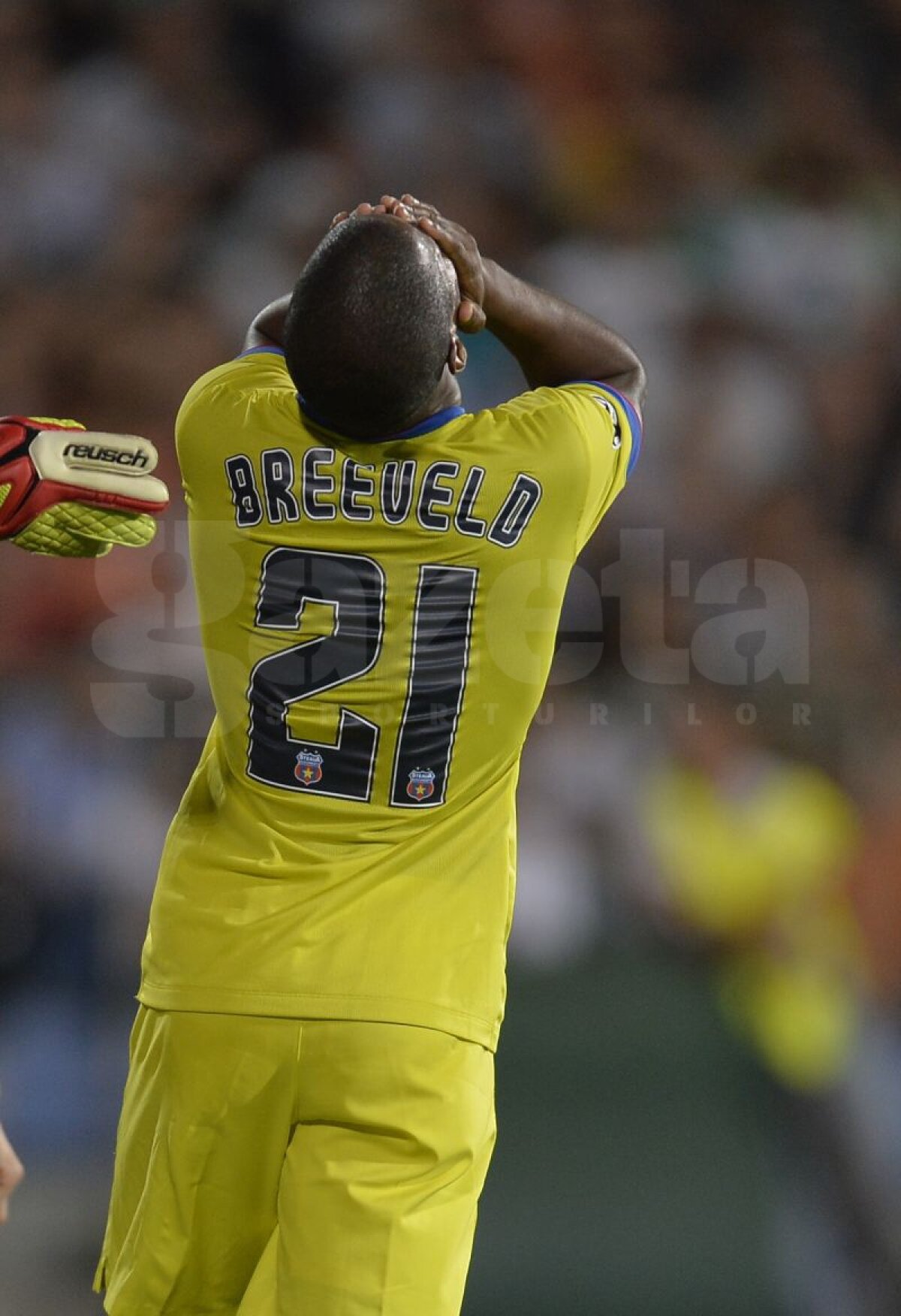 Ce urmează pentru trupa lui Gâlcă »  Steaua ar putea avea o grupă horror în Europa League