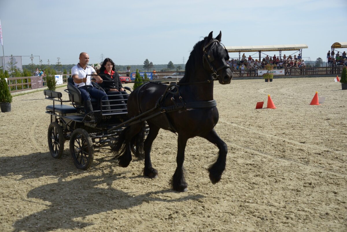 S-au pus în vînzare biletele la a treia ediţie a Salonului Calului