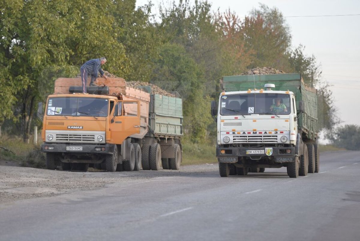 Reciclarea sfeclei :) » Trimisul Gazetei din Ucraina a descoperit sportul naţional din vestul ţării vecine: culesul şi vîndutul legumelor căzute din KAMAZ