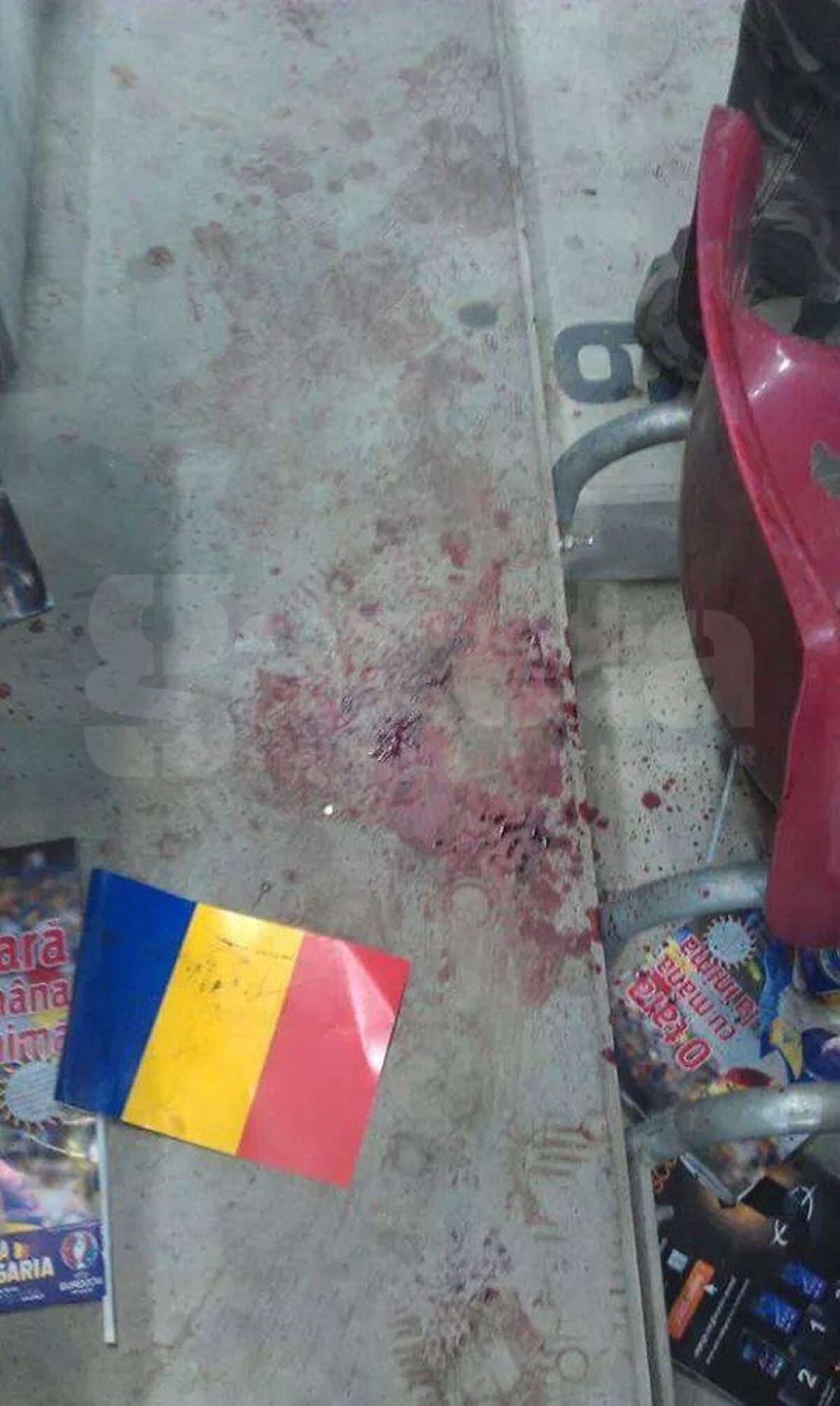 Reconstituirea evenimentelor petrecute în peluza Nord a arenei: "Bătăuşii vor fi pedepsiţi!"