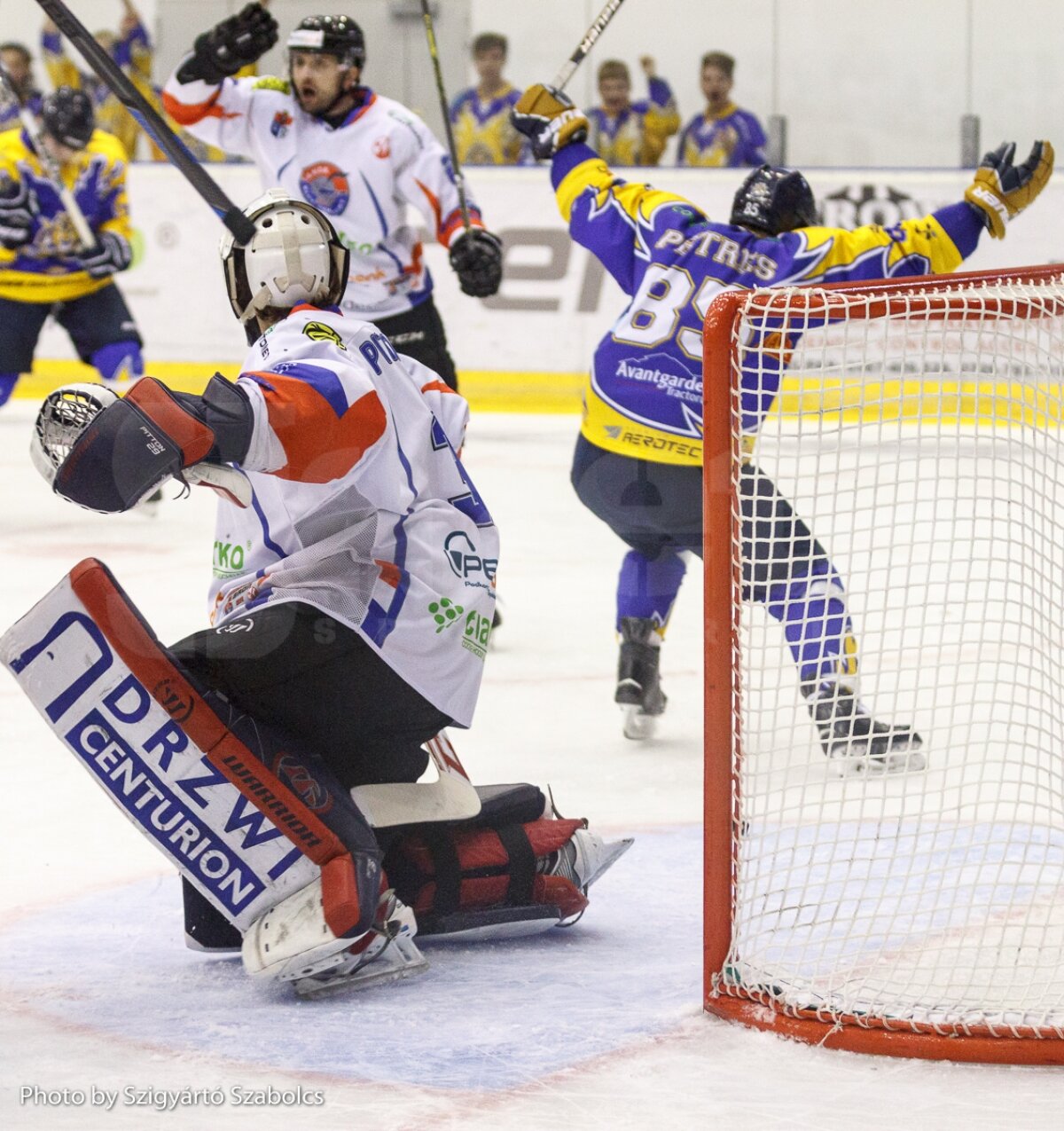 GALERIE FOTO Corona Wolves a pierdut dramatic calificarea în turul al treilea al Cupei Continentale