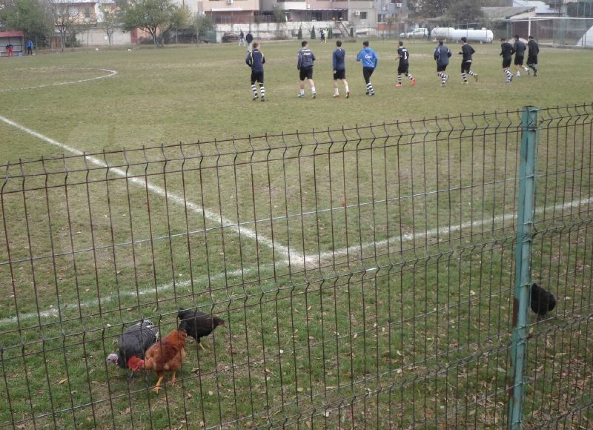 VIDEO şi FOTO Venus şi Victoria Bucureşti au renăscut » Cele două s-au întîlnit în ziua marelui derby românesc: “Vrem în Liga 1”