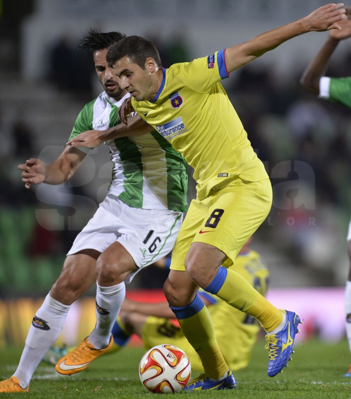 VIDEO+FOTO Seara lui Filip » Înlocuitorul lui Latovlevici a strălucit în Portugalia la cel mai slab meci al sezonului pentru Steaua: 2-2 cu Rio Ave