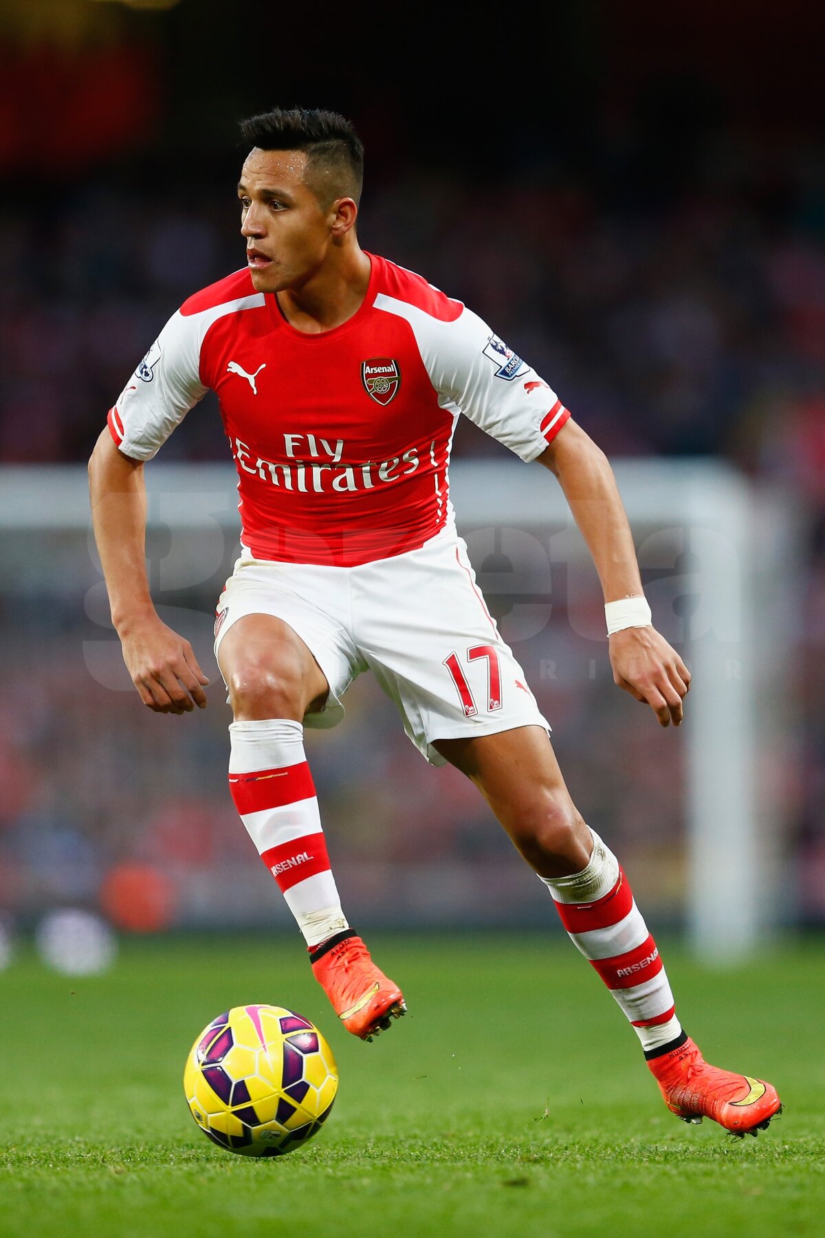 FOTO Chilienii au aflat cauza epuizării lui Alexis: "Prea mult sex l-a transformat într-o broască ţestoasă"