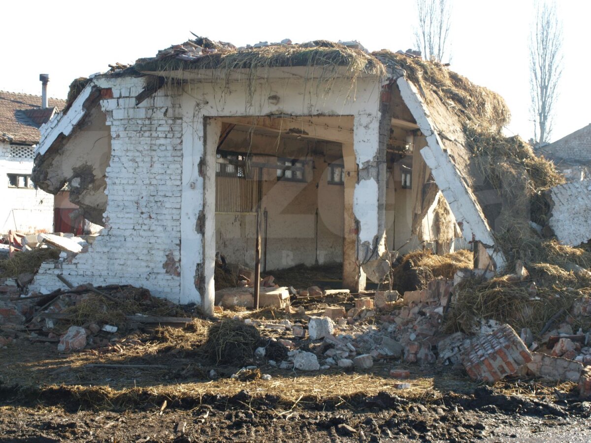 FOTO Cade hipodromul! A început demolarea bătrînului complex hipic de la Ploieşti. Din ianuarie demarează construcţia celui nou