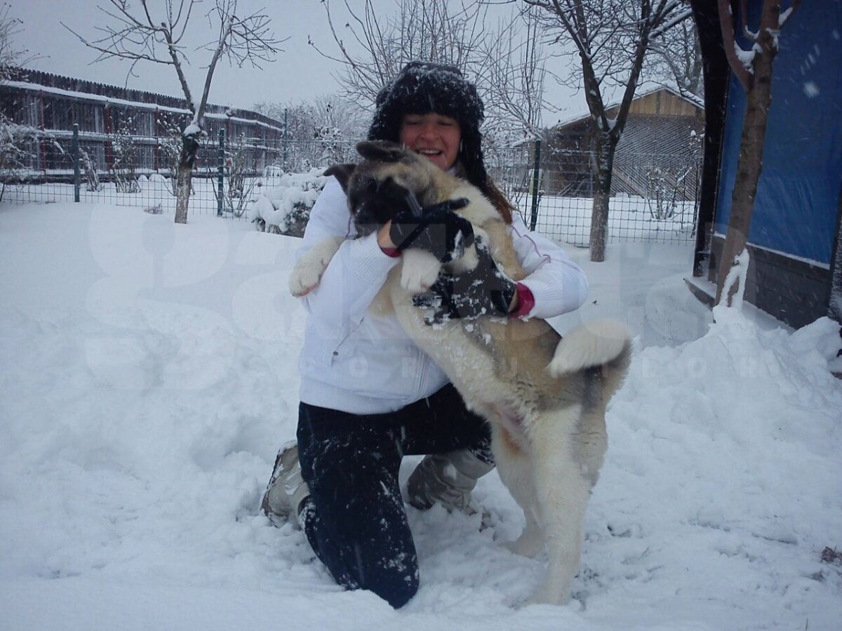 De la 22 grade Celsius la -1! » Alexandra Dulgheru a făcut pregătirea din extrasezon cu David Ferrer