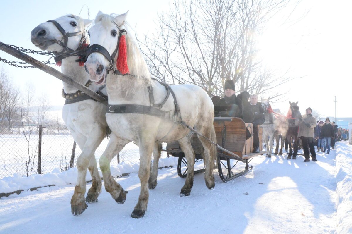 FOTO Urat şi plimbat cu sania! » Preşedintele Cornel Şfaiţer a fost sorcovit de întreaga localitate natală