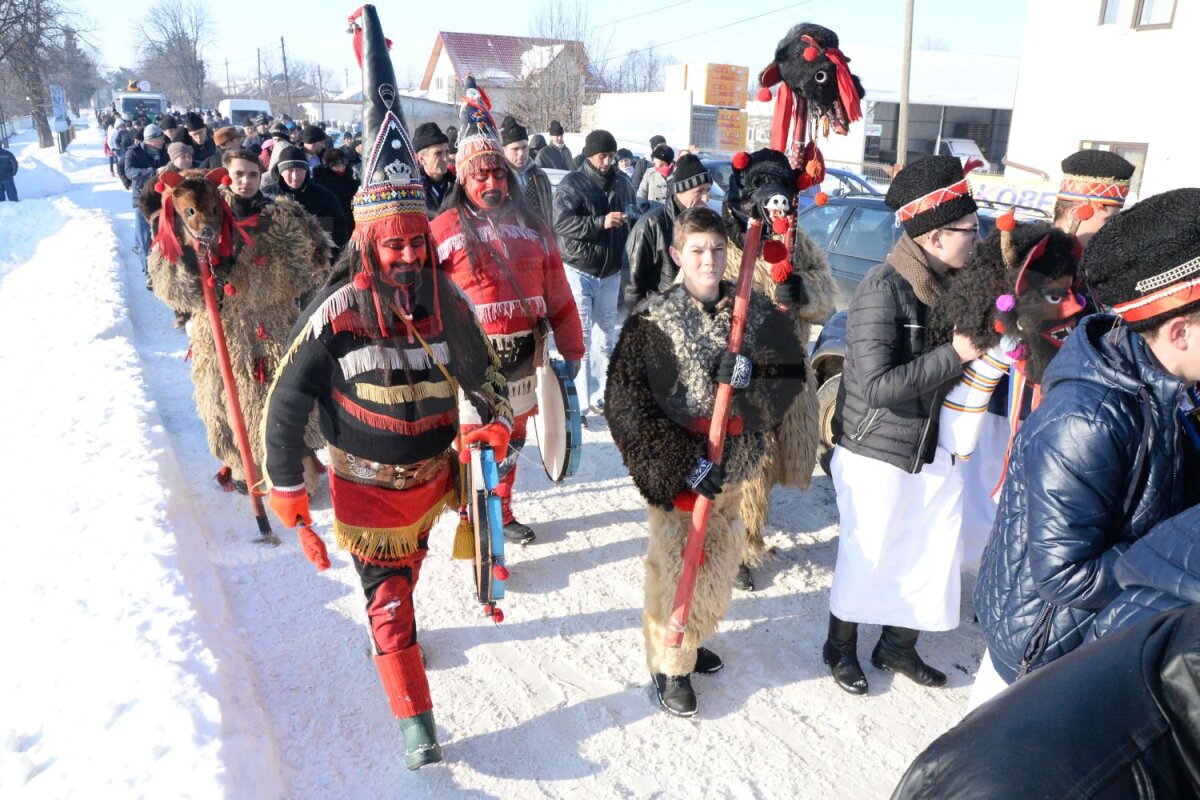 FOTO Urat şi plimbat cu sania! » Preşedintele Cornel Şfaiţer a fost sorcovit de întreaga localitate natală