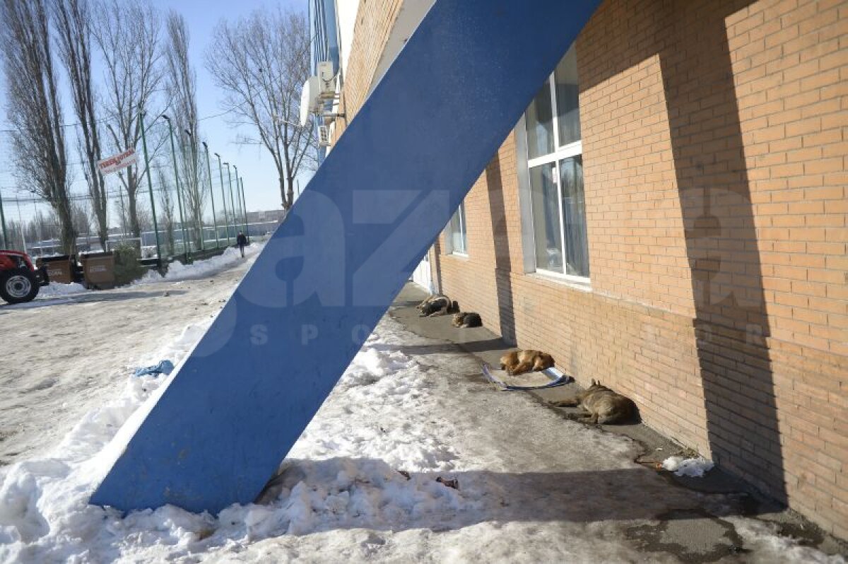 GALERIE FOTO » Ce ruşine! Aici va juca Simona Halep în România în meciul care poate duce ţara noastră în barajul pentru Grupa Mondială!