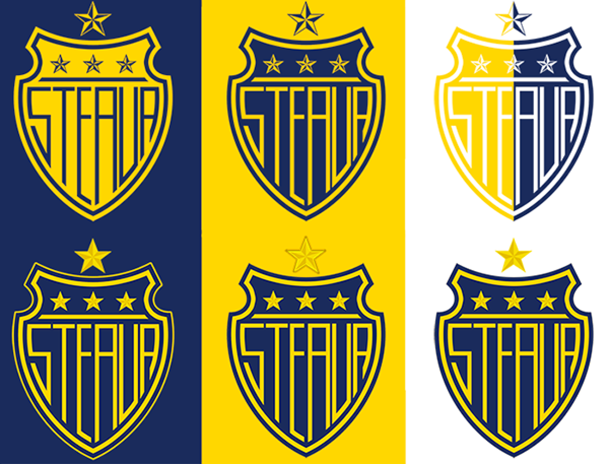 GALERIE FOTO Altceva » Problema Stelei cu marca a ajuns în afara ţării » Un designer străin a redesenat sigla, echipamentul şi autocarul roş-albaştrilor