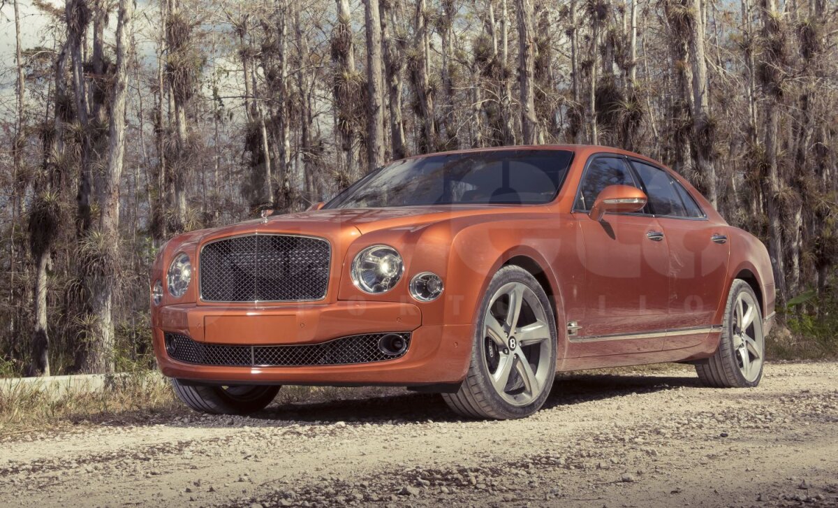 FOTO În gura aligatorilor » Britanicii de la TopGear au dus un Bentley în ţinutul mlăştinos al Floridei