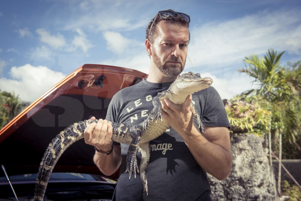 FOTO În gura aligatorilor » Britanicii de la TopGear au dus un Bentley în ţinutul mlăştinos al Floridei
