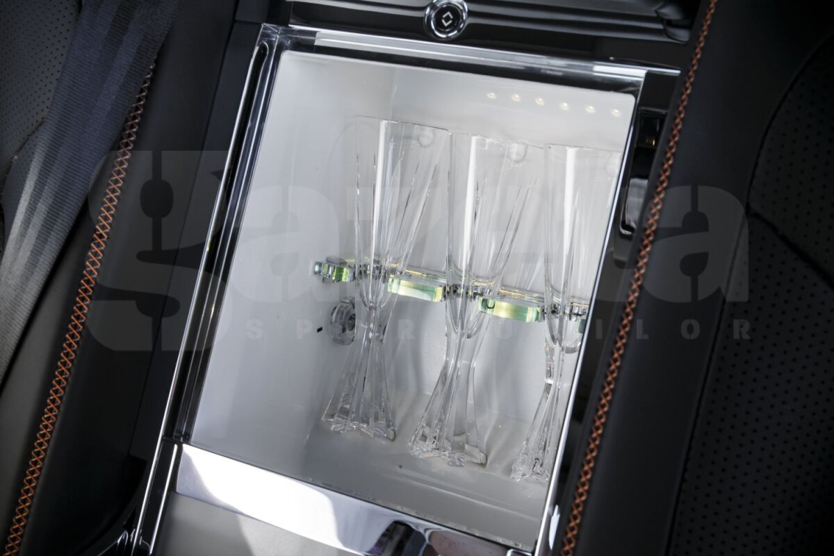 FOTO În gura aligatorilor » Britanicii de la TopGear au dus un Bentley în ţinutul mlăştinos al Floridei