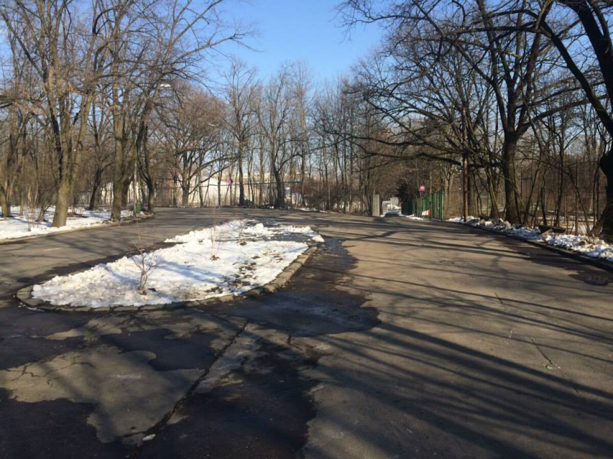 Curtea de Apel Bucureşti decide mîine la ora 12:00 dacă bucureştenii recuperează 7 hectare din Parcul Herăstrău!