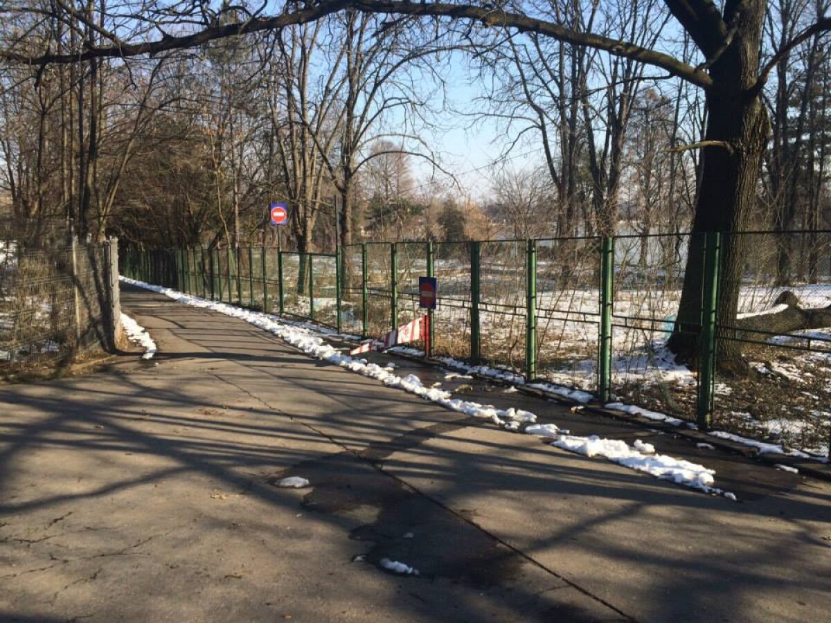 Curtea de Apel Bucureşti decide mîine la ora 12:00 dacă bucureştenii recuperează 7 hectare din Parcul Herăstrău!