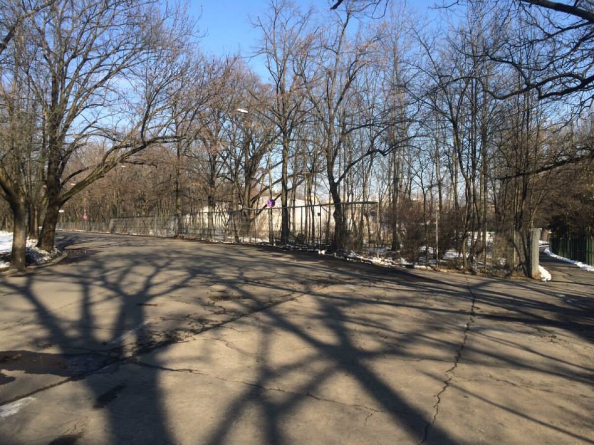 Curtea de Apel Bucureşti decide mîine la ora 12:00 dacă bucureştenii recuperează 7 hectare din Parcul Herăstrău!