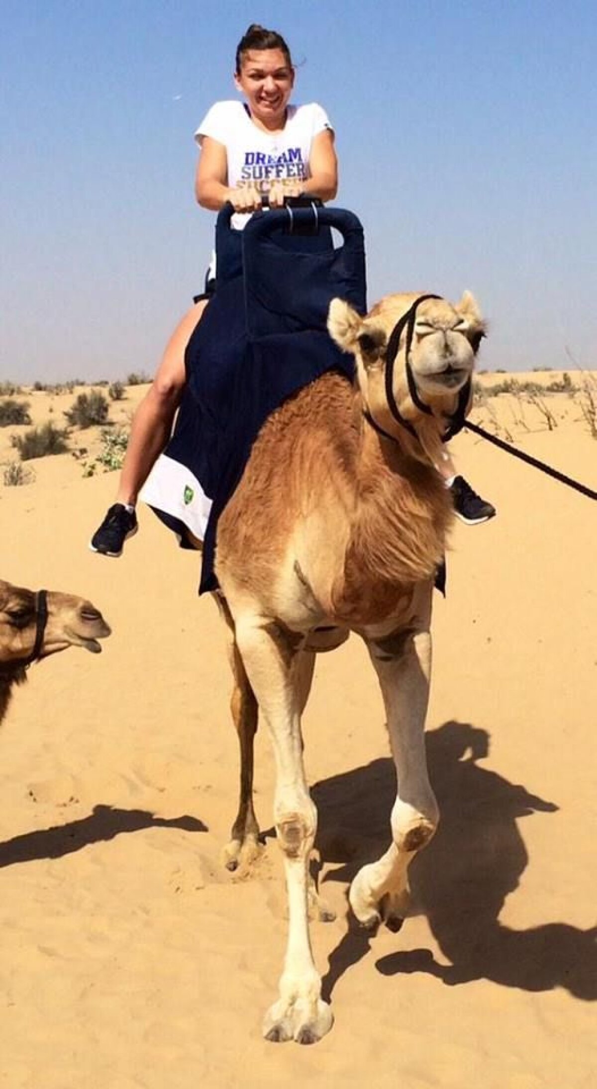 FOTO Asaltul deşertului » Simona Halep debutează azi în turneul de la Dubai, unde e favorită principală