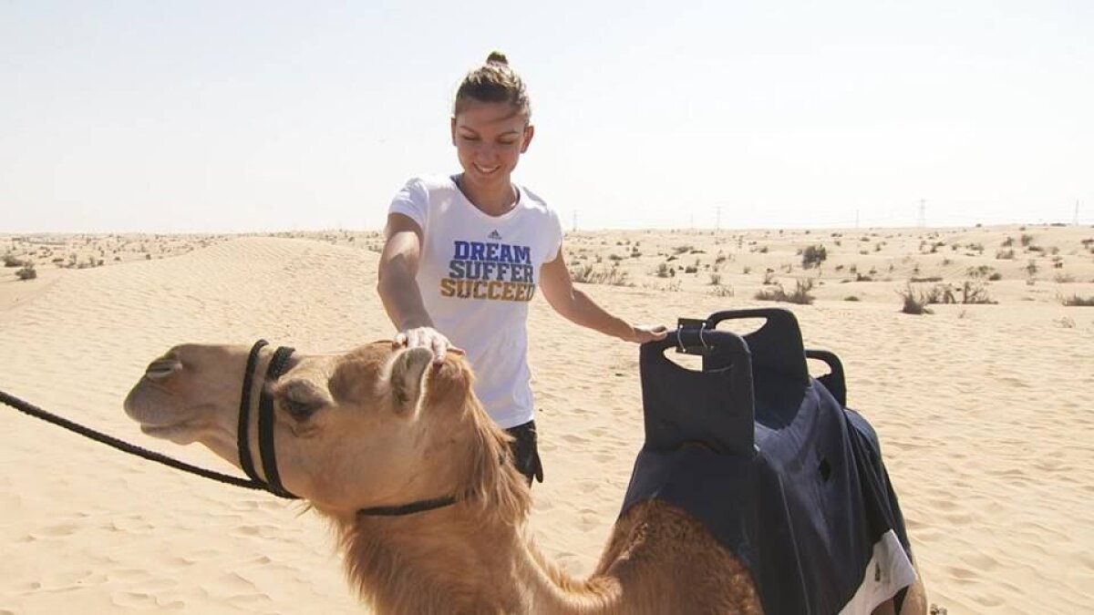 FOTO Asaltul deşertului » Simona Halep debutează azi în turneul de la Dubai, unde e favorită principală
