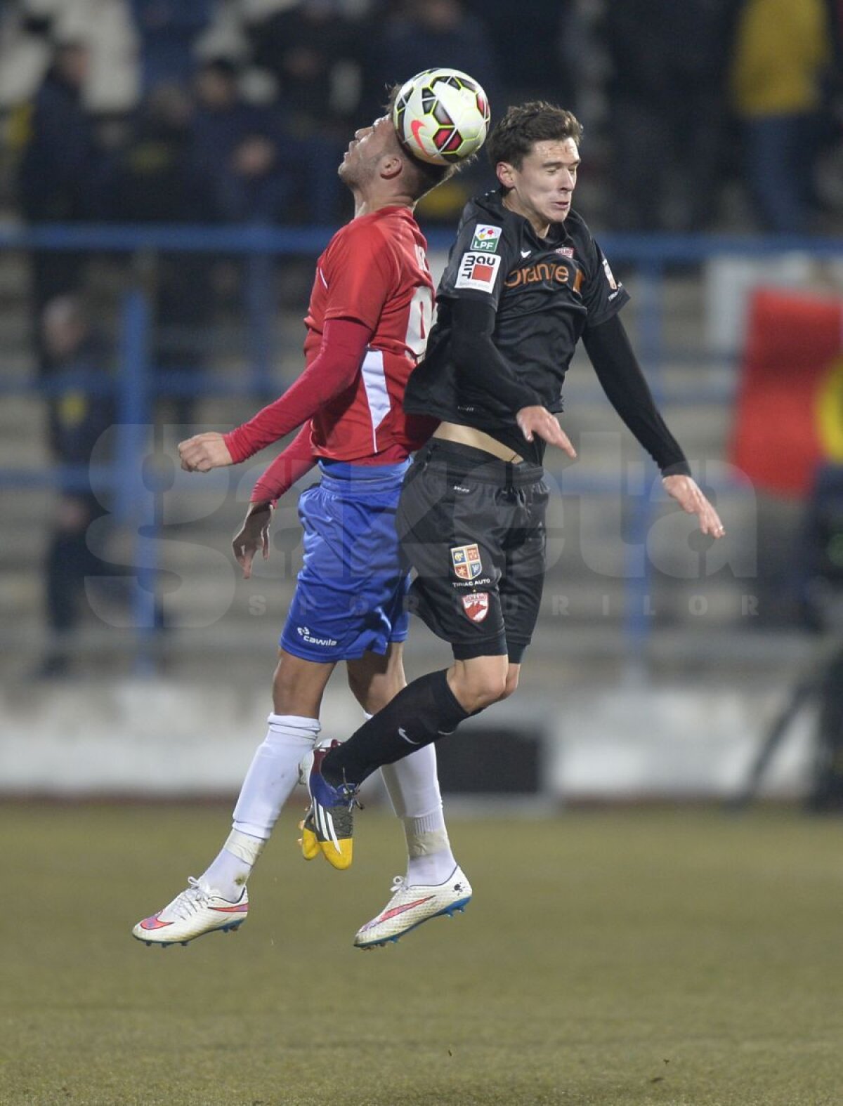 VIDEO+FOTO 2.000 norocos » Dinamo obţine toate punctele la Galaţi, 1-0 cu Oţelul, graţie reuşitei lui Marius Niculae
