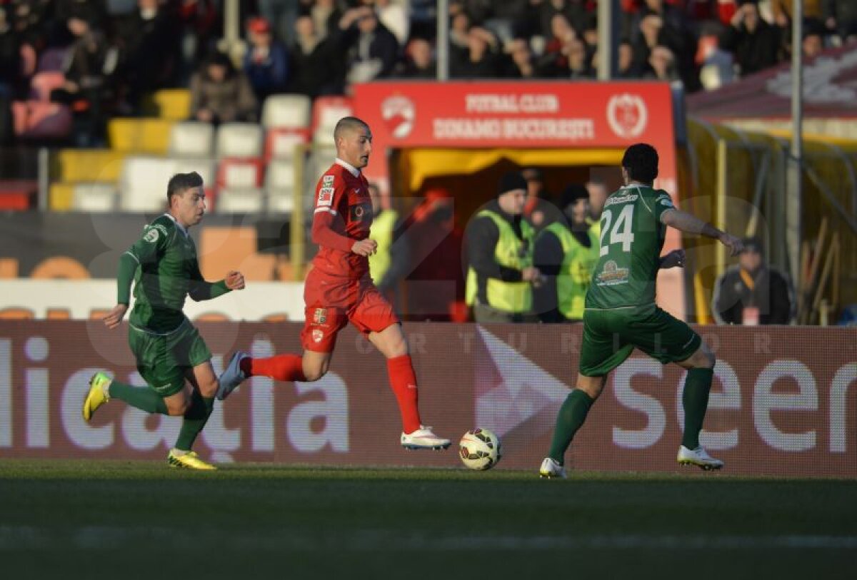 VIDEO şi FOTO Dinamo - Concordia Chiajna 0-3 » "Cîinii", umiliţi pe teren propriu