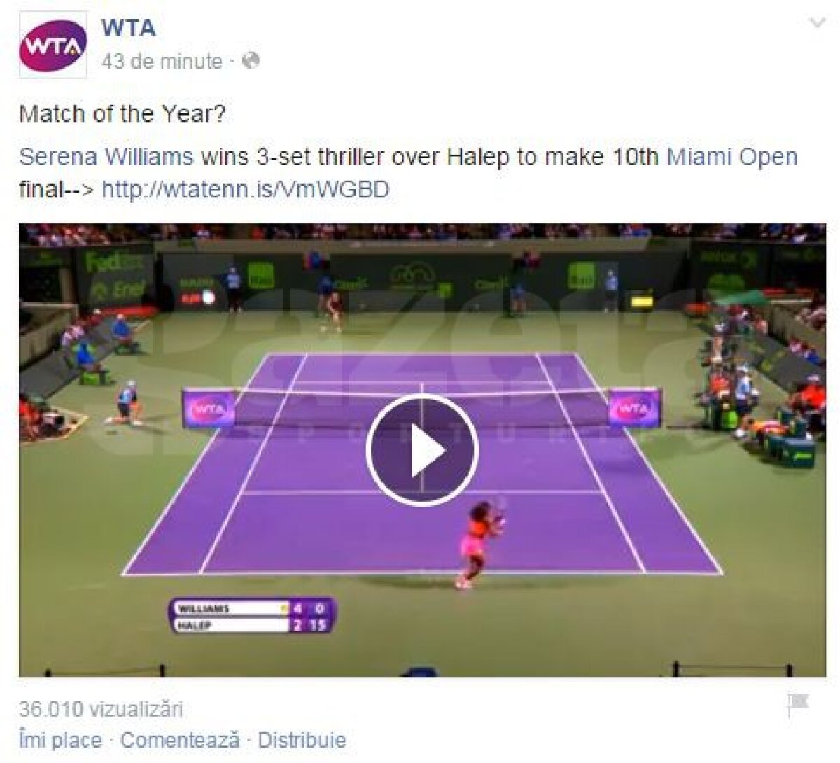 VIDEO Site-ul WTA titrează după partida dintre Simona Halep şi Serena Williams: "Meciul anului?" » Punct superb jucat de cele două