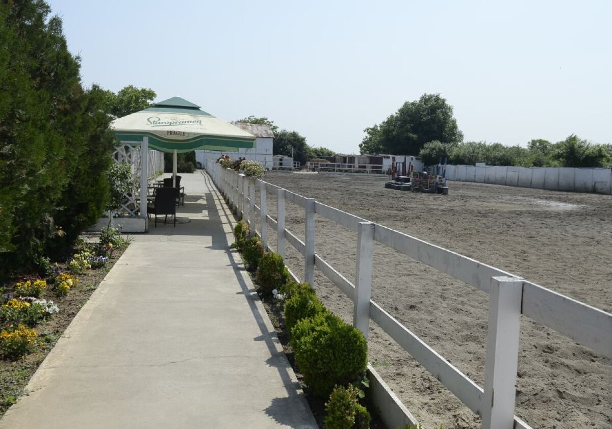 Ucis de Belamy » Povestea cutremurătoare a decesului lui Ștefan Popescu, băiatul de 8 ani mort duminică la centrul de echitație ”Golden Horse” din Ciorogîrla