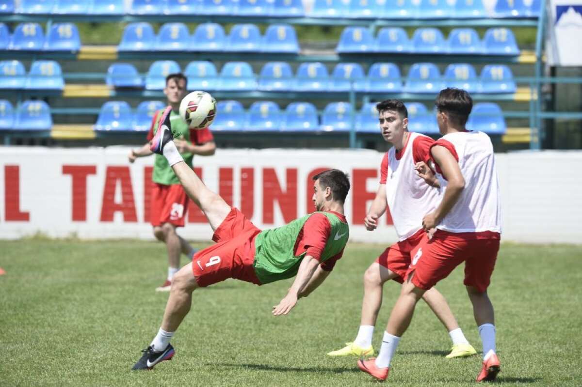 GALERIE FOTO Mircea Rednic a oferit imaginea zilei la antrenamentul lui Dinamo » Cum a glumit tehnicianul "cîinilor"