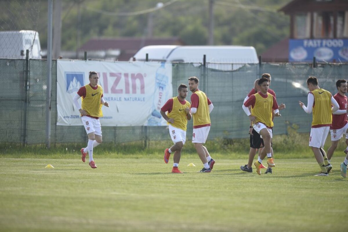 GALERIE FOTO EXCLUSIV Imagini cu noua achiziţie a lui Dinamo » S-a antrenat prima dată sub comanda lui Rednic