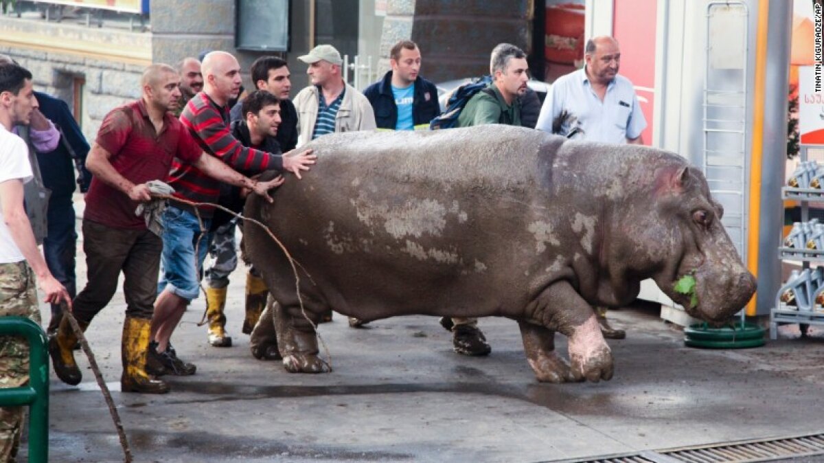 FOTO Gest impresionant » Un fost jucător al lui AC Milan a ieșit în stradă pentru a ajuta victimele inundațiilor