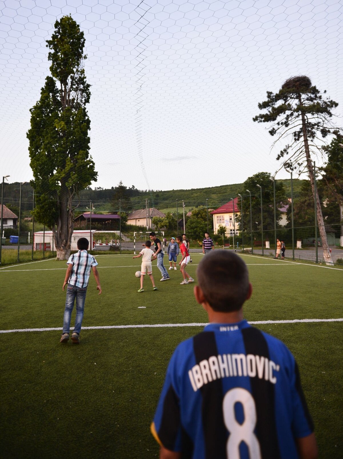 FOTO Copacul-fundaş :) Ciudăţenie pe terenul sintetic din Mureş: un stejar se află pe una dintre extremele gazonului