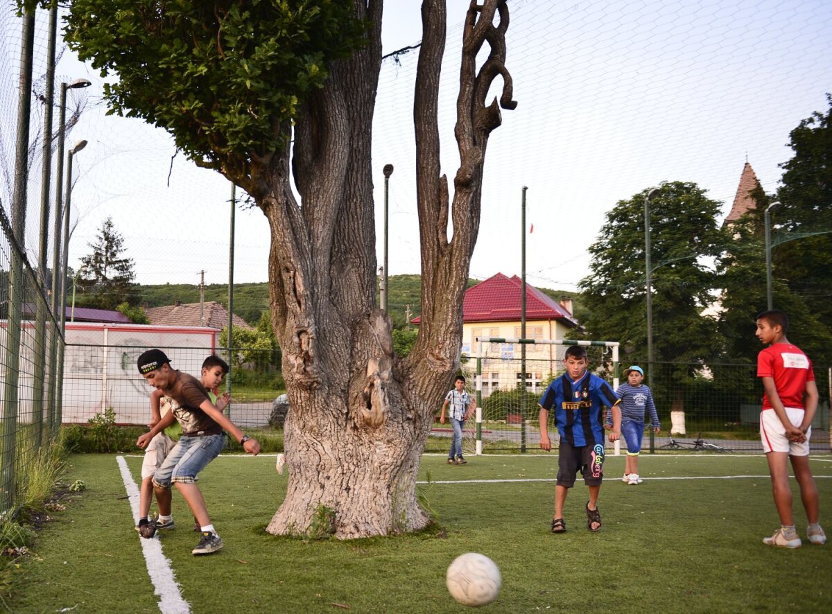 FOTO Copacul-fundaş :) Ciudăţenie pe terenul sintetic din Mureş: un stejar se află pe una dintre extremele gazonului