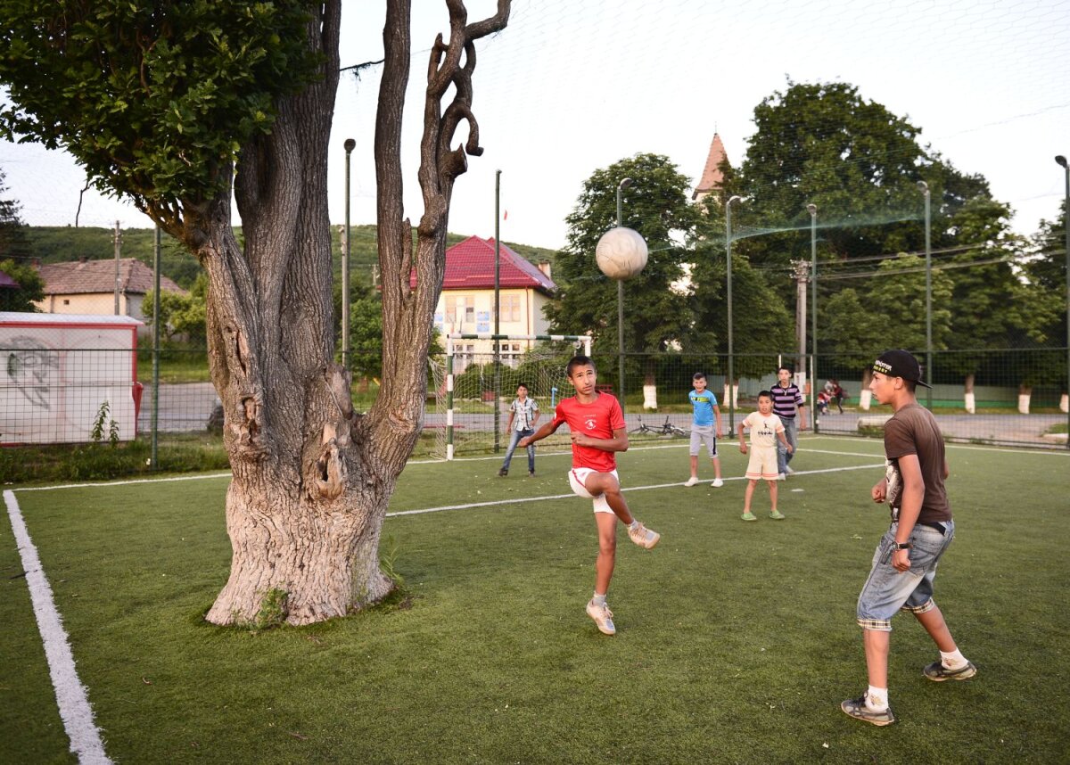 FOTO Copacul-fundaş :) Ciudăţenie pe terenul sintetic din Mureş: un stejar se află pe una dintre extremele gazonului