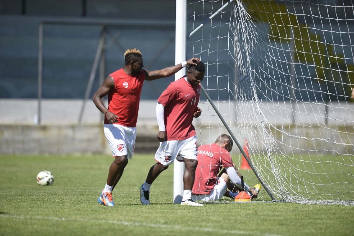 GALERIE FOTO EXCLUSIV Ricky van Hareen s-a pregătit azi în premieră sub comanda lui Rednic