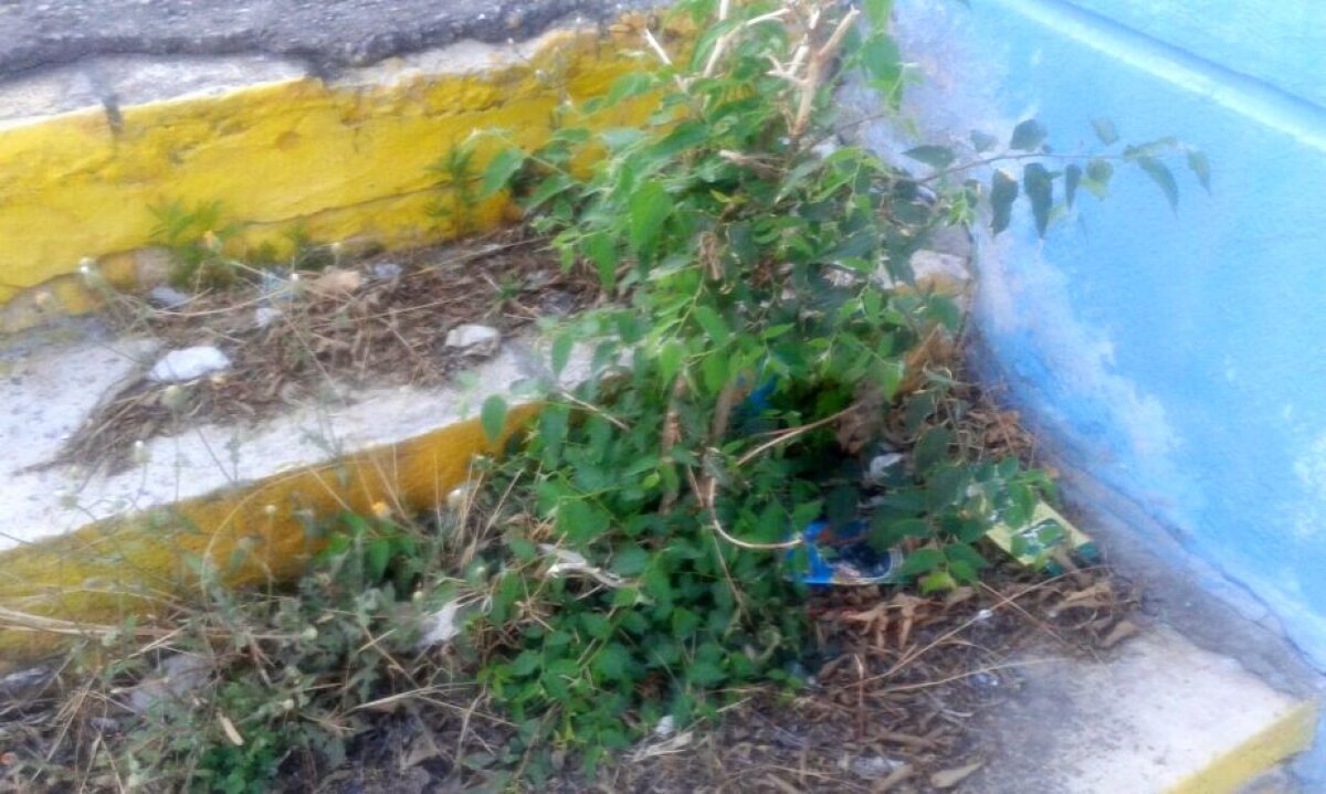 GALERIE FOTO Prima Supercupă pe un stadion comunal » Chiar şi omologată, arena din Constanţa este o RUINĂ!