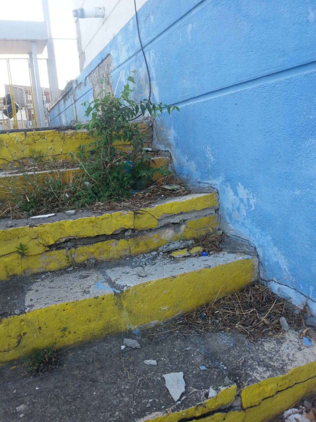 GALERIE FOTO Prima Supercupă pe un stadion comunal » Chiar şi omologată, arena din Constanţa este o RUINĂ!