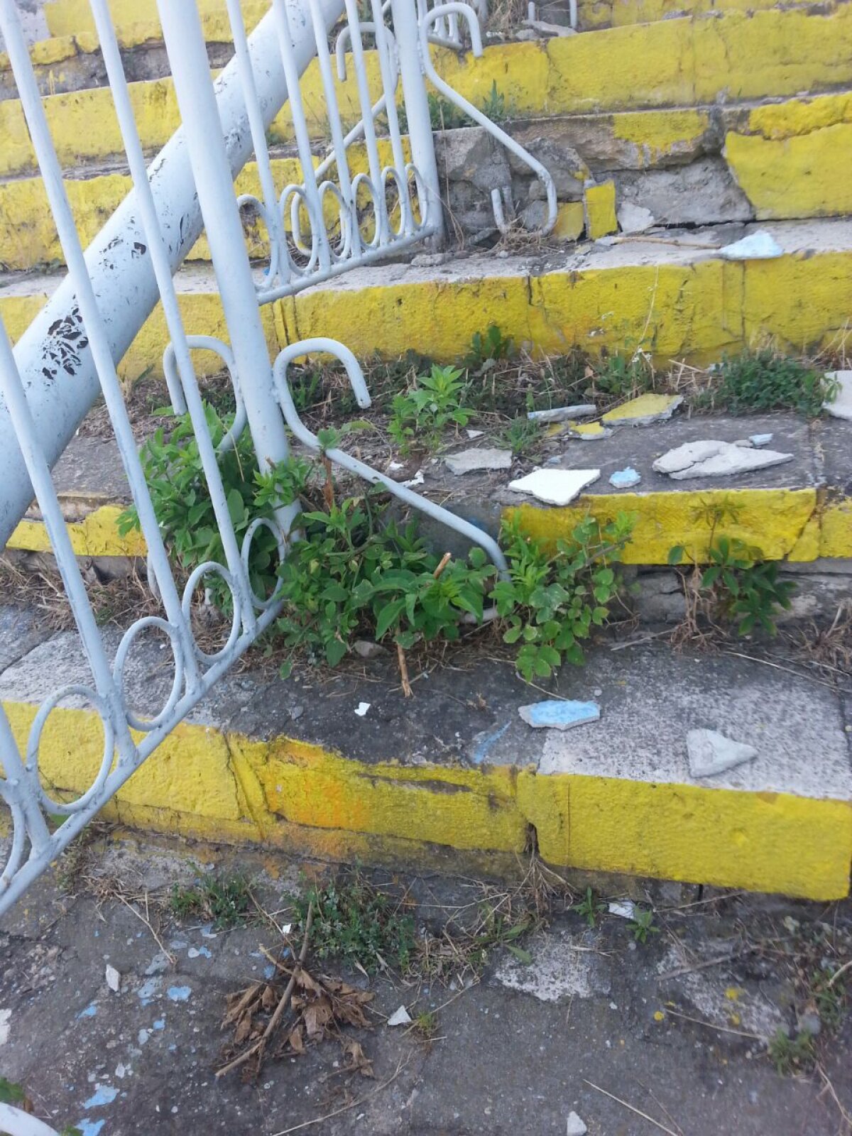 GALERIE FOTO Prima Supercupă pe un stadion comunal » Chiar şi omologată, arena din Constanţa este o RUINĂ!