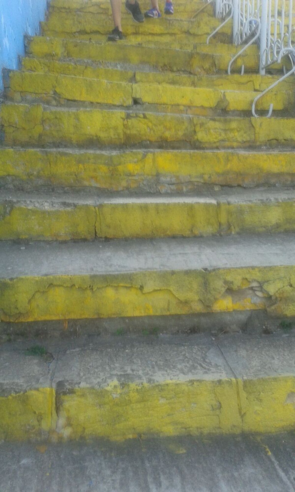 GALERIE FOTO Prima Supercupă pe un stadion comunal » Chiar şi omologată, arena din Constanţa este o RUINĂ!