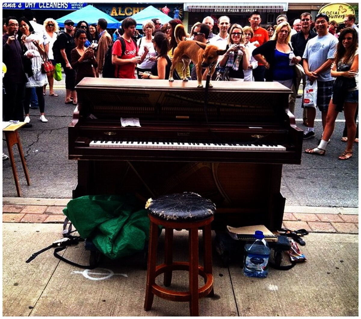 Ce face un bărbat când vrea să fie liber? Exemplul unui american