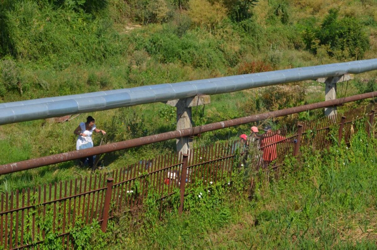 FOTO Imagini incredibile » Oțelul a pierdut jumătate din teren! Suprafața a fost îngrădită, jucătorii se antrenează înghesuiți