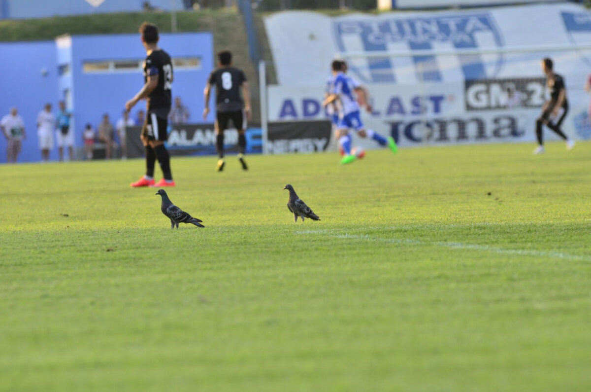 VIDEO+FOTO Lucky Șumi » Cu ratările ei uriașe, CS U Craiova o ajută pe Astra, 1-2, să obțină prima victorie în campionat