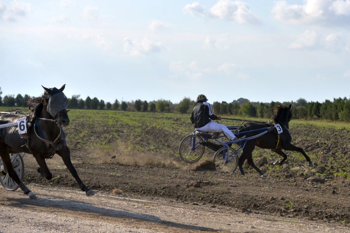Fotografia zilei - cele mai interesante imagini ale lunii septembrie în sport
